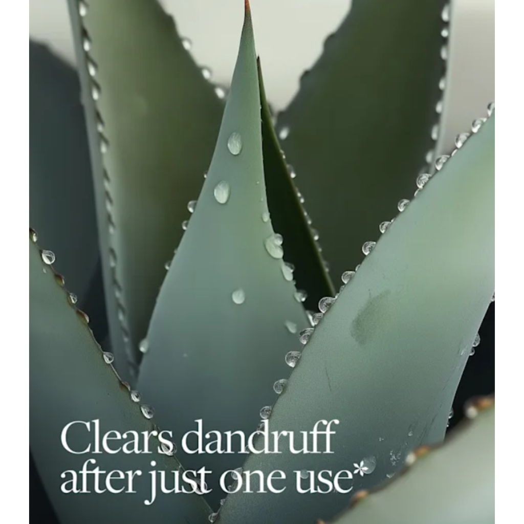 Dandruff Detox Shampoo